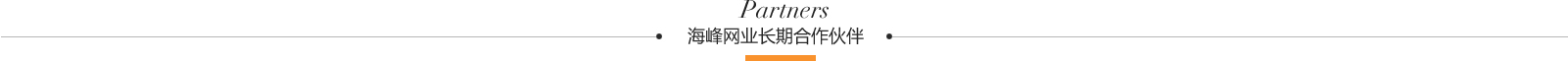 海峰网业长期合作伙伴